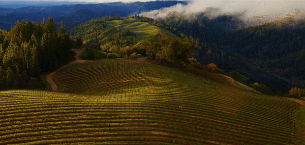 GIF demonstrating Obsidian Serendipity plugin